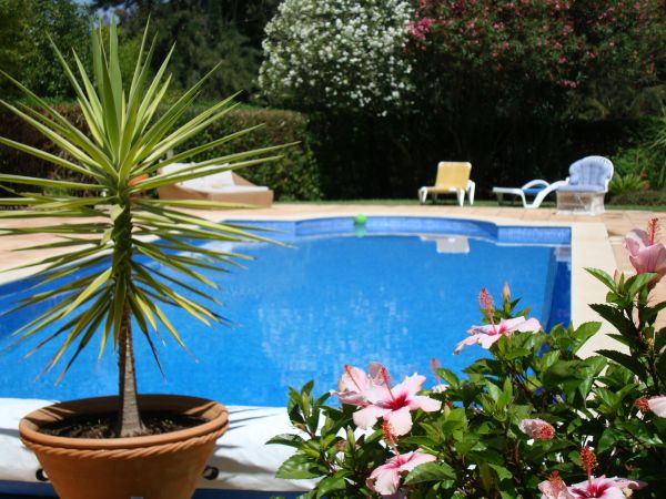 Cost of Pool Terrace Renovation in Lehi