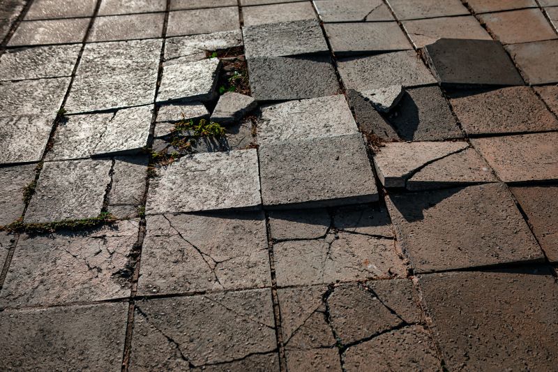 Timely Paver Repairs